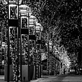 Holiday Lights - 16th Street Mall