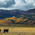 Mt. Elbert