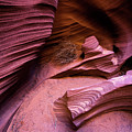 tumbleweed in the canyon